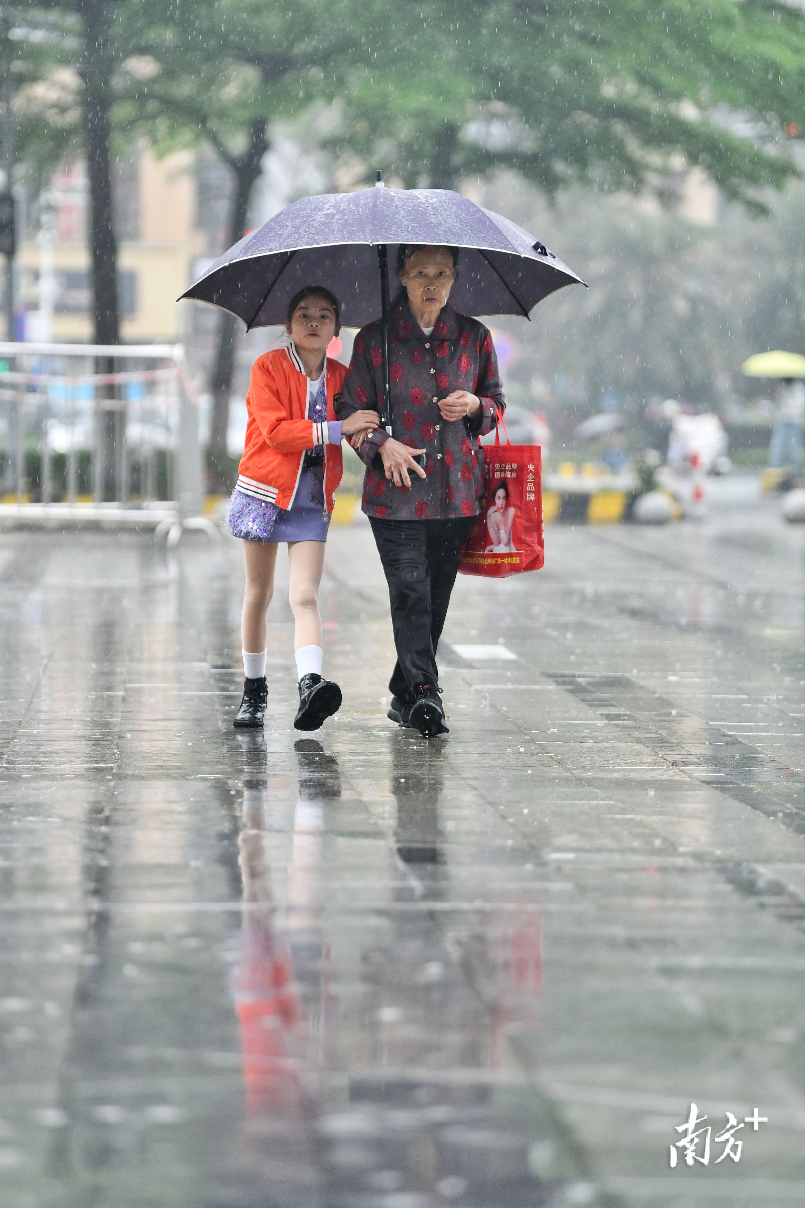 雨中的南海狮山科技北路。戴嘉信 摄