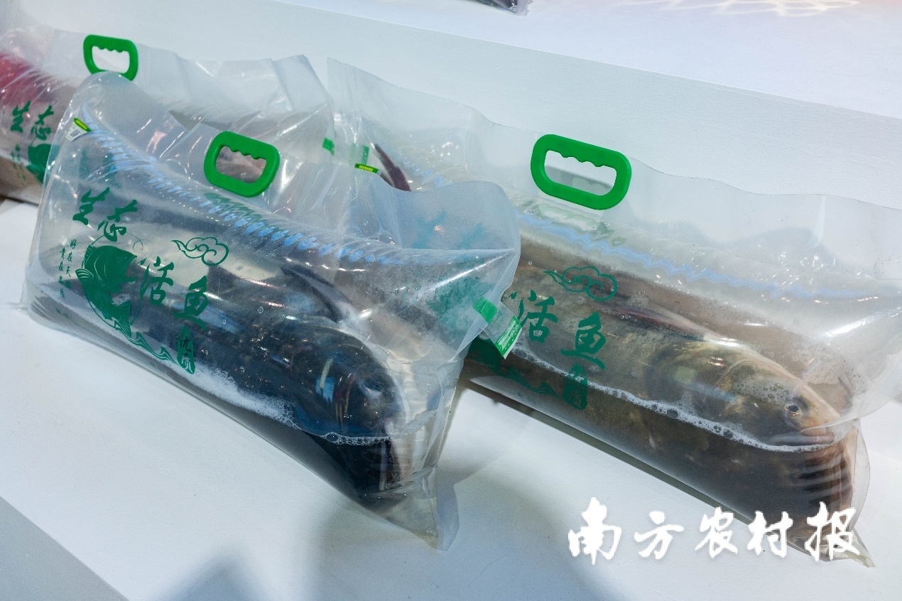 买活鱼真够鲜！东莞市松湖水产品养殖有限公司出品