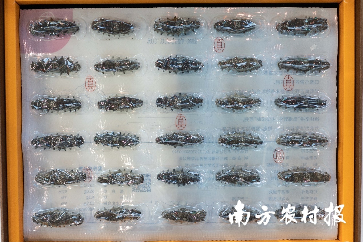 东莞市南城纯汇堂食品贸易部展出的海参