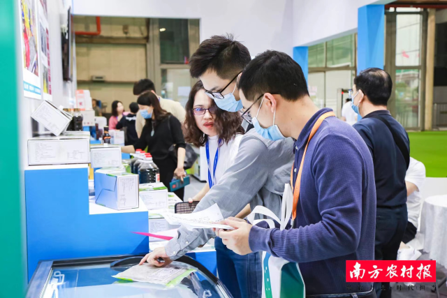 参展企业与客商交流