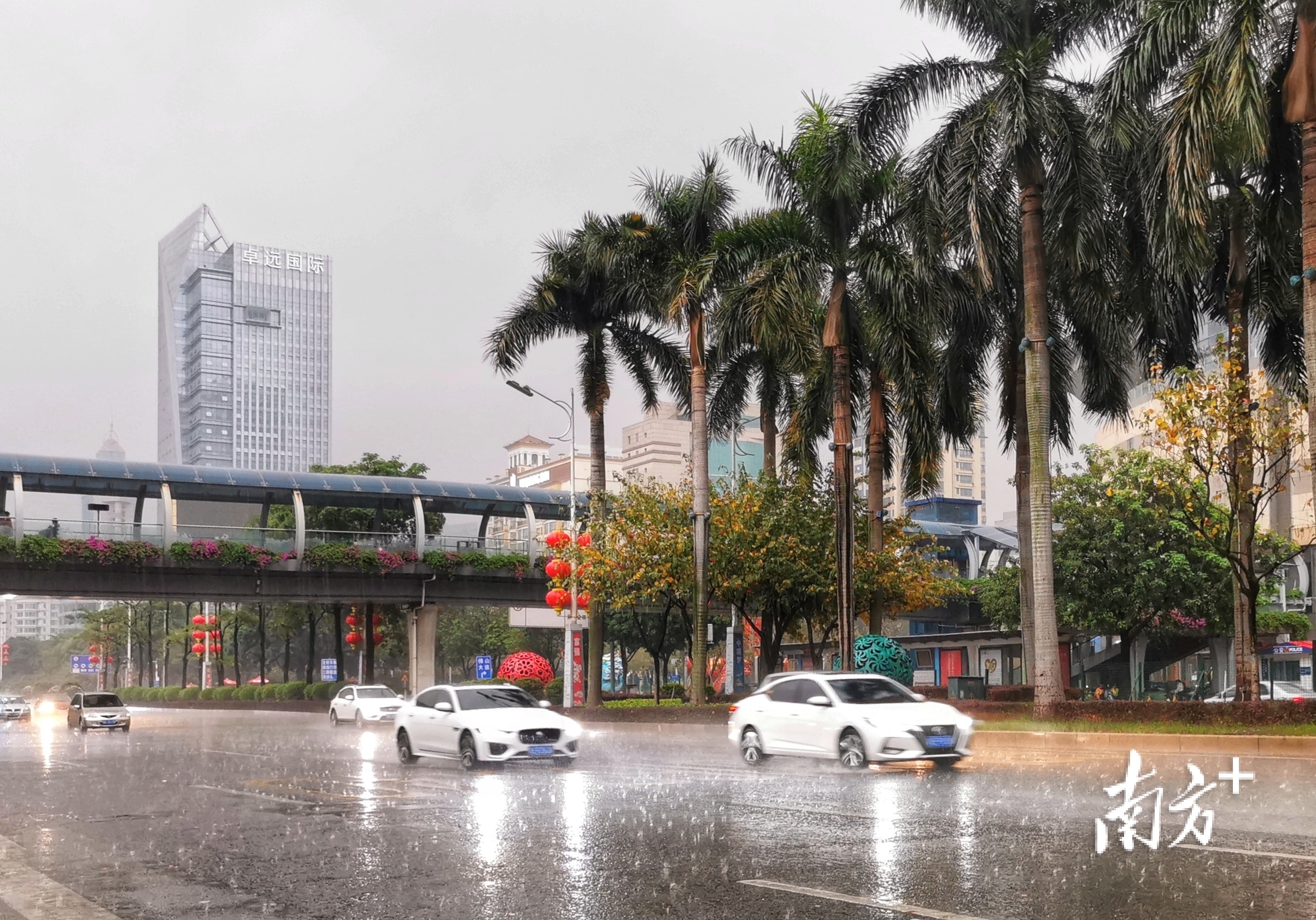 3月25日上午8时许，季华路创意产业园路段。南方拍客 霍伟权 摄