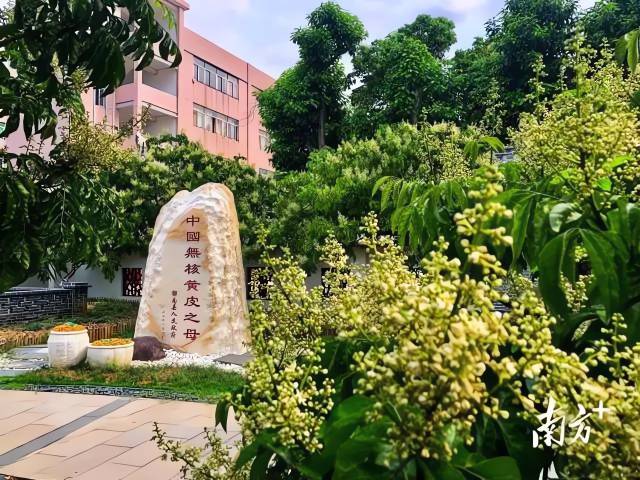 受訪者供圖