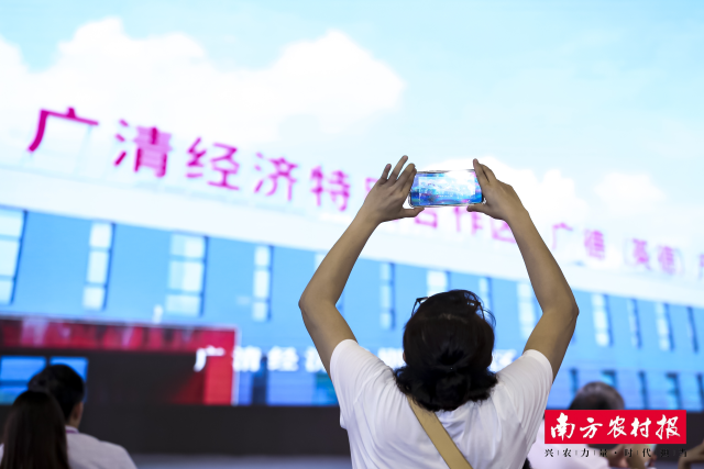 受訪者供圖