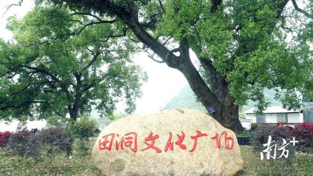 广西贺州钟山县“三自一补”助力乡村振兴