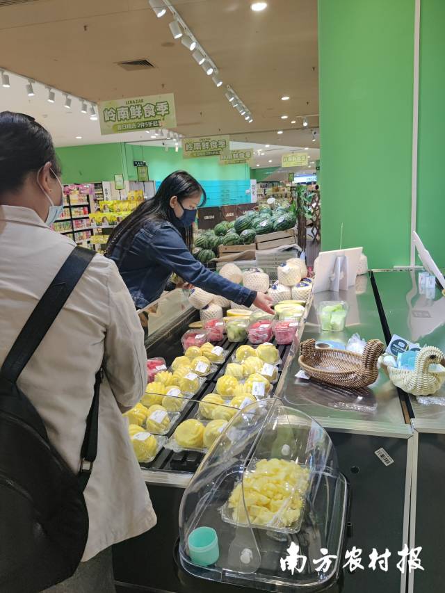 徐闻菠萝在销区受追捧