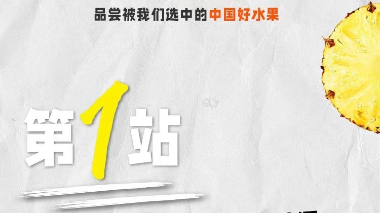好菠蘿溯源之旅！和安慕希一起去徐聞“菠蘿的海”旅行