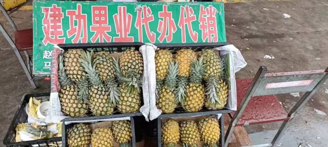 建功果業(yè)在雨潤(rùn)市場(chǎng)的廣東菠蘿銷售點(diǎn)