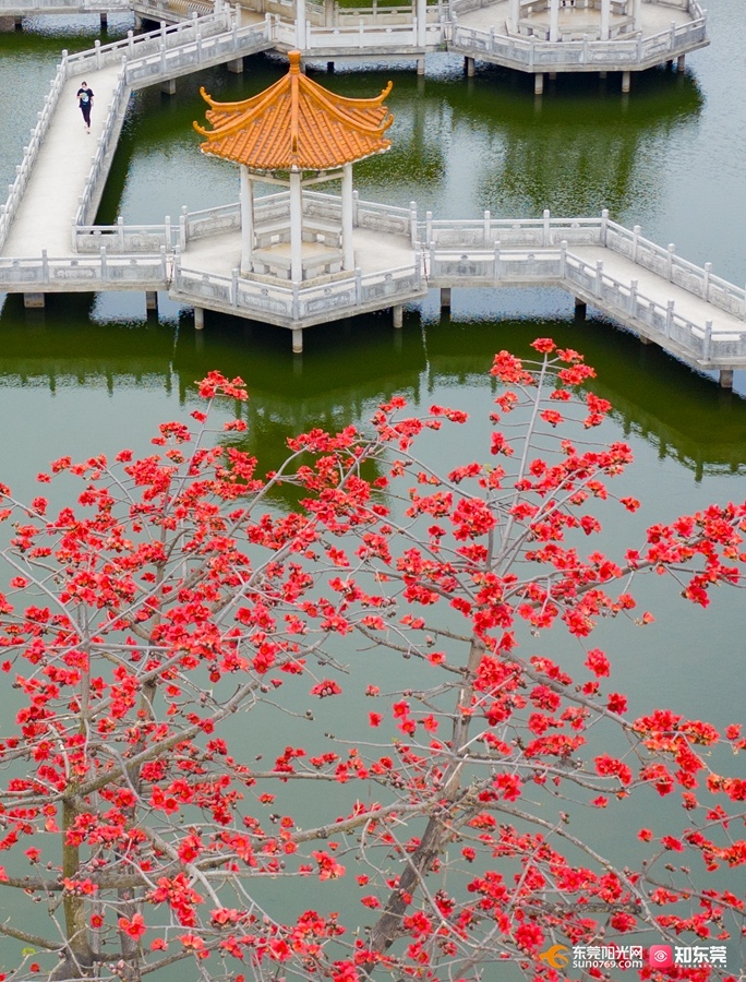 南栅市场旁的小公园