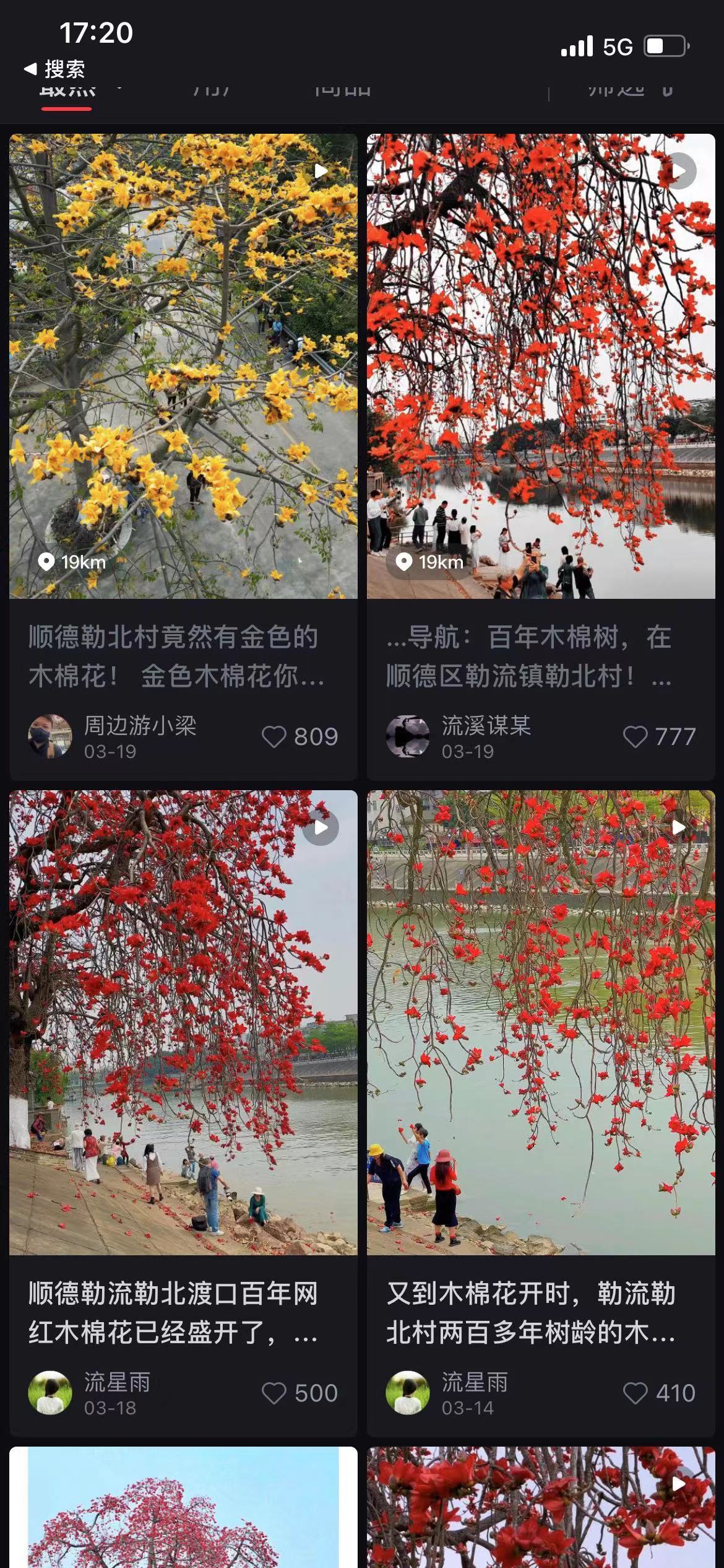 小红书上的勒北木棉。