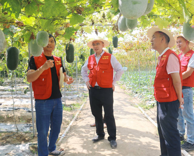 农技轻骑兵在翁源县田间调研