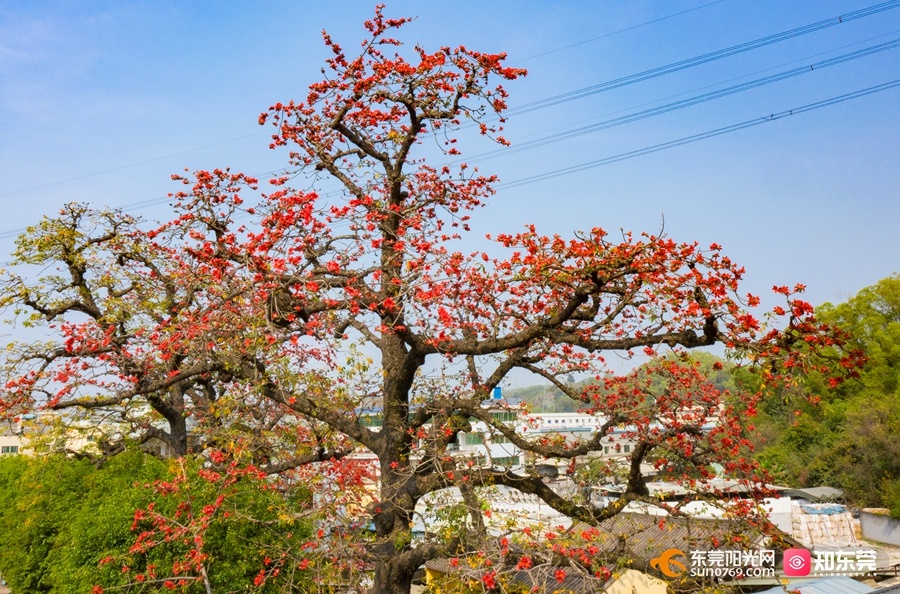白沙社区海石寺门口