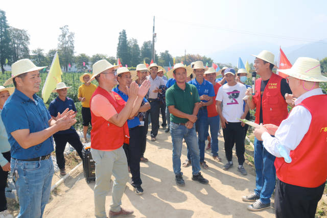 农技轻骑兵在田间进行技术指导