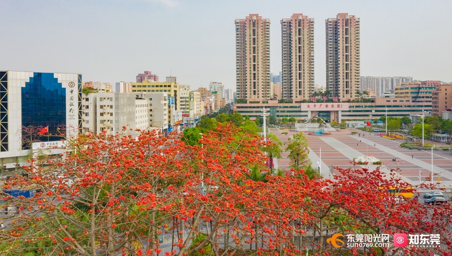 虎门镇政府大院