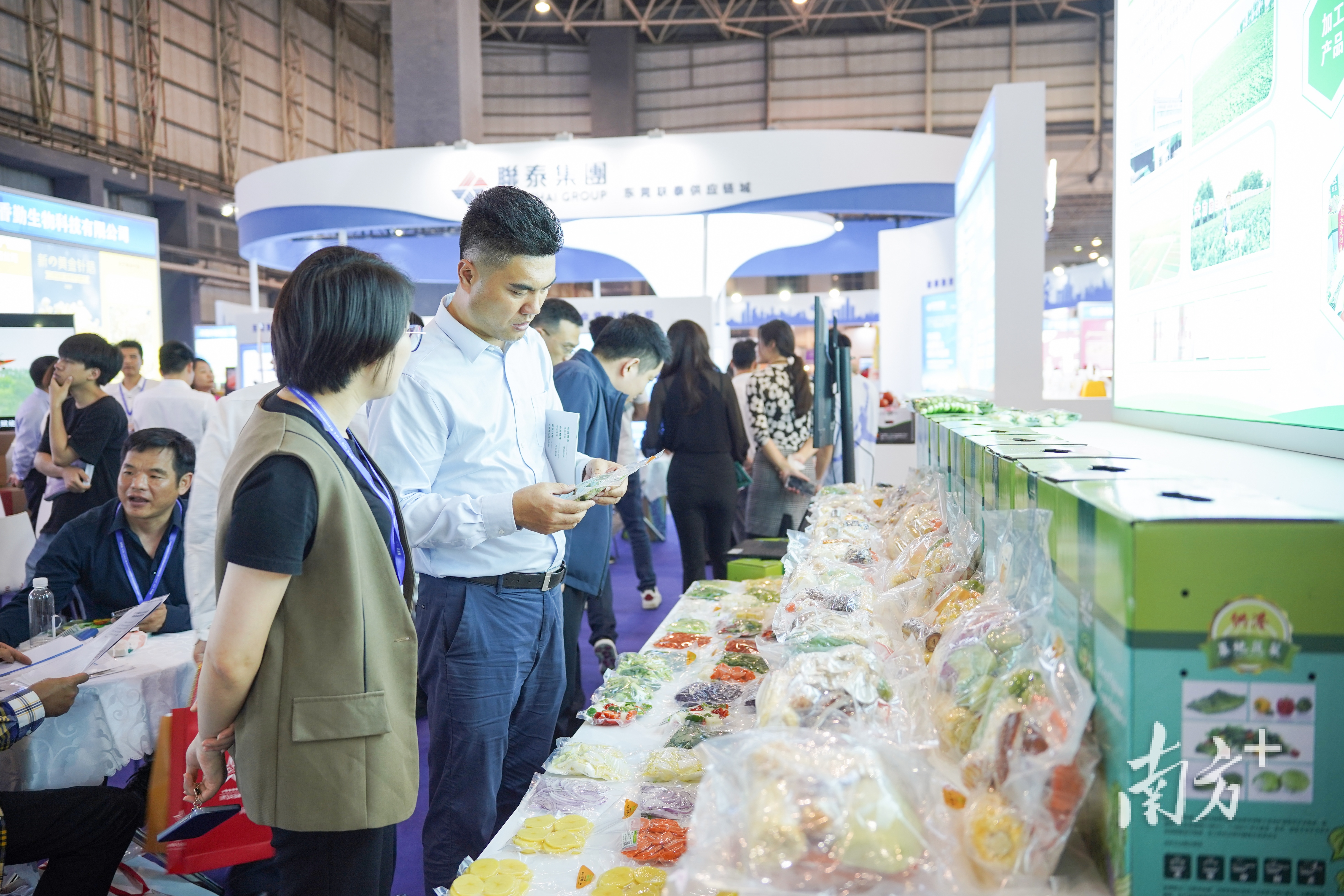 客户向东莞企业了解净菜的生产加工。何绮莹 摄