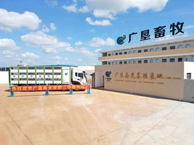 广垦畜牧黄宣：不断练好养猪“内功”，助力广东经济高质量发展