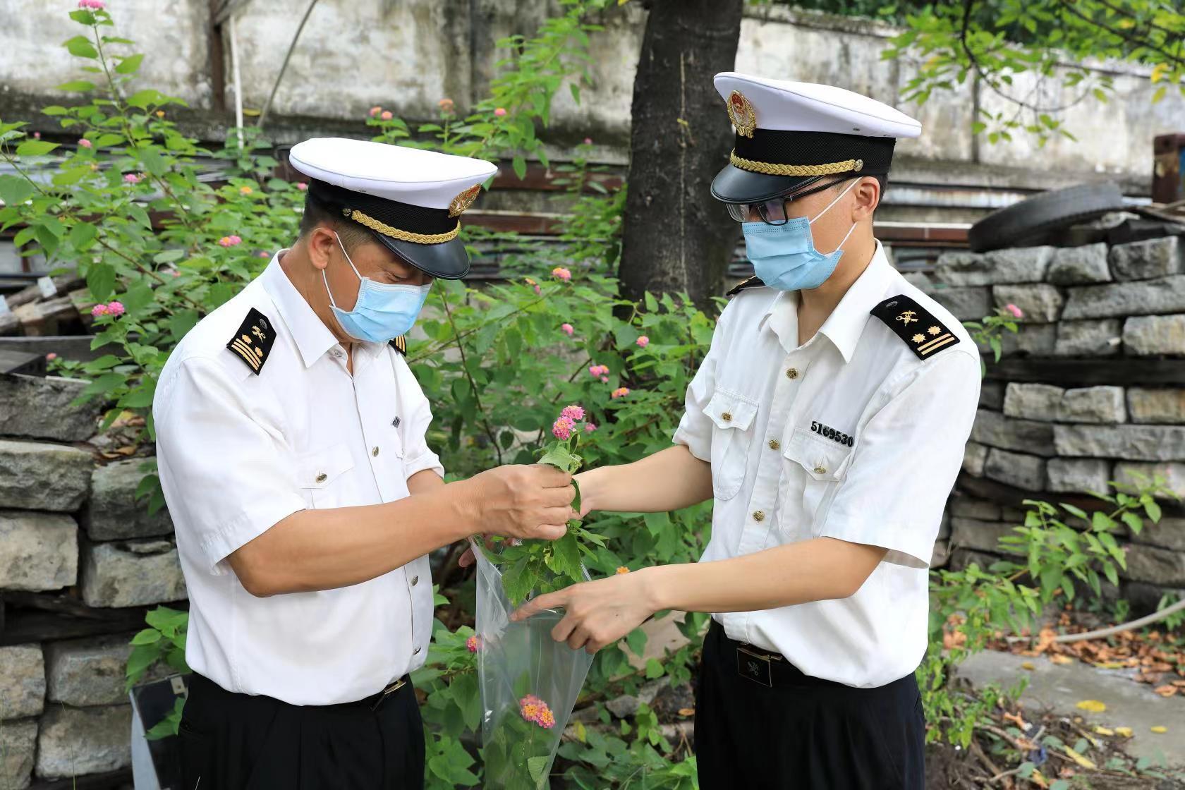 海关工作人员对出口花卉种苗开展查检。 海关工作人员对出口花卉种苗开展查检。