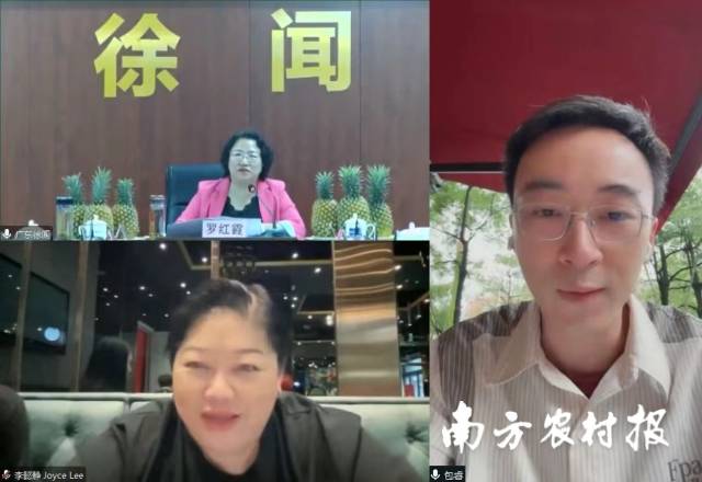 罗红霞、李懿静与主持人共同探讨徐闻菠萝出海之路。