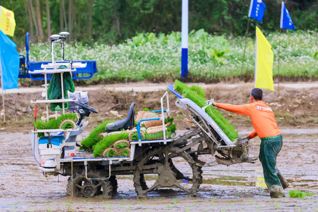 抢抓农时春耕备耕。