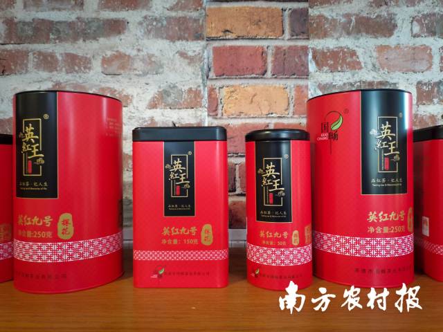 国畅茶业红茶产品