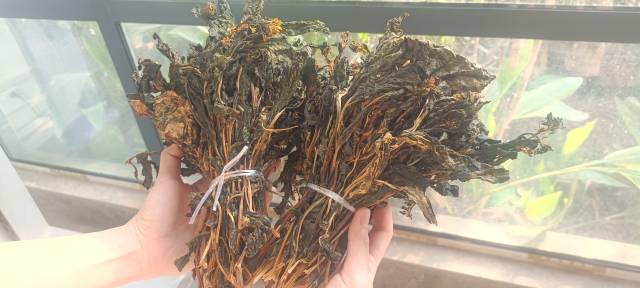 百林湾油菜花菜干