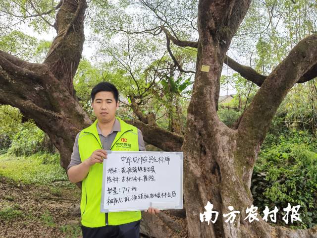守护绿美生态！韶关创新古树名木综合保险