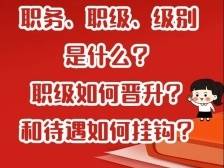 职务、职级、级别如何区分？职级如何晋升？和待遇如何挂钩？