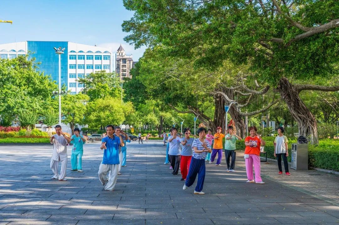 市民在伦教公园里打太极。张活丽 摄