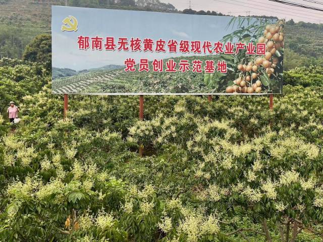 受訪(fǎng)者供圖