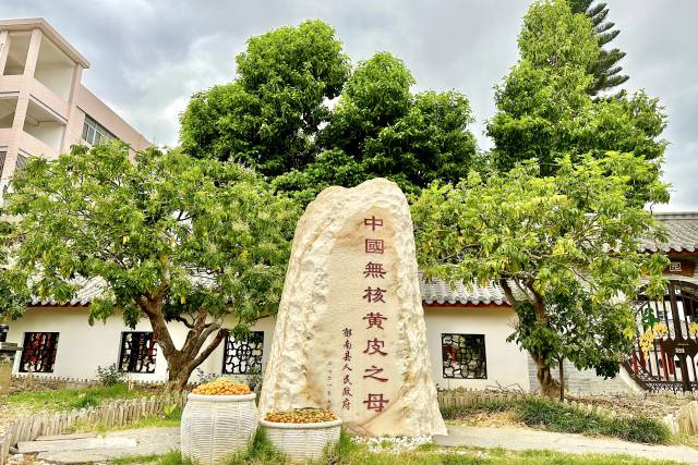 受訪(fǎng)者供圖