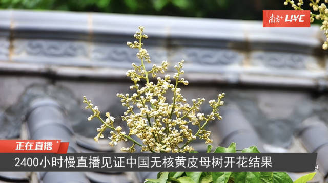 受訪(fǎng)者供圖