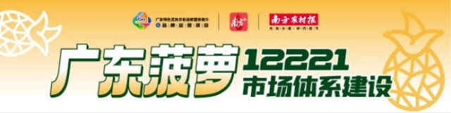 在南京，春风十里不如一颗广东菠萝