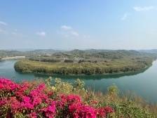 镇委书记打擂台｜农文旅体融合，肇庆大洲镇争当示范