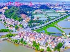 龙穴街：港口小岛服务企业“不打烊”｜高质量发展朝“南”看