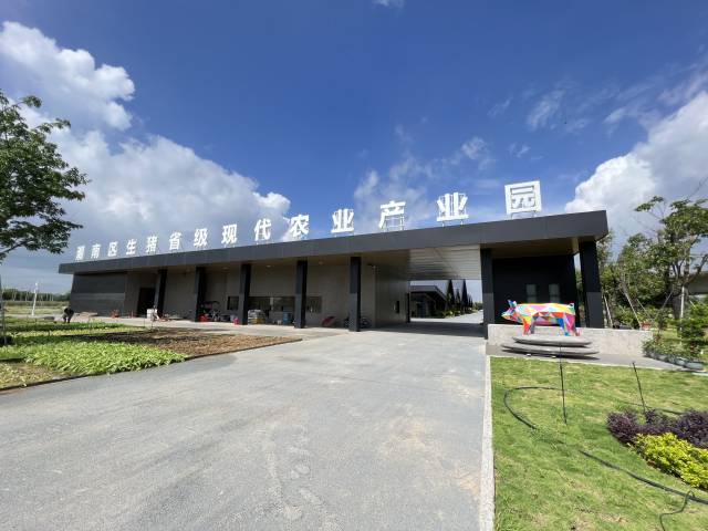 潮南区生猪省级现代农业产业园。