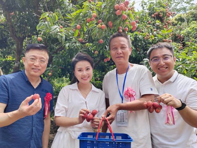 潮南已连续15年举办“雷岭荔枝文化旅游节“。