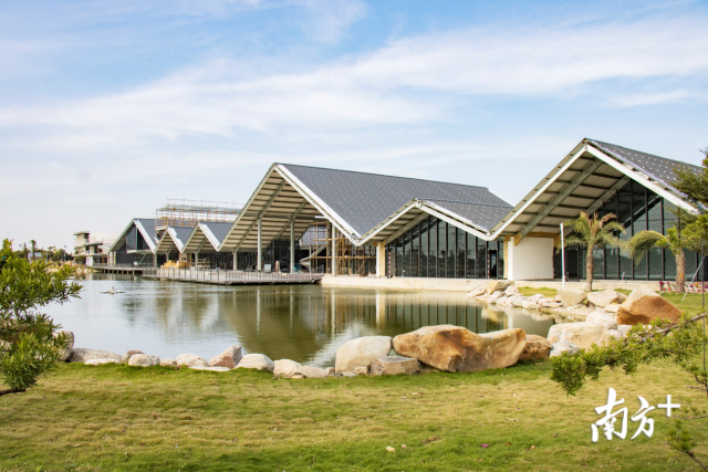 潮南区生猪产业园融合发展区。  