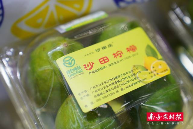 珠海市喜見農(nóng)業(yè)發(fā)展有限公司-沙田檸檬,。
