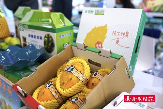 珠海市喜見農(nóng)業(yè)發(fā)展有限公司-燕窩果（火龍果）。