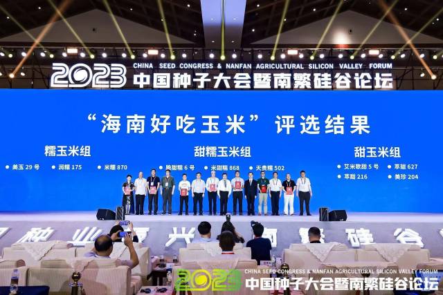 舌尖上见真章！“海南好吃玉米”金奖品种揭晓