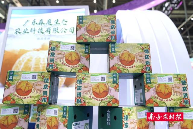 德慶縣東璞生態(tài)農(nóng)業(yè)有限公司-德慶貢柑。