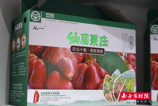 廣州市花都區(qū)俊豐石榴專業(yè)合作社-蓮霧,。