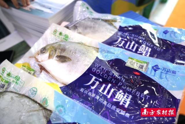 廣東大麟洋海洋生物有限公司-萬山鯧,。  