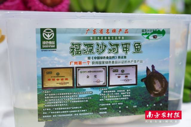 廣州市福源有機(jī)漁農(nóng)產(chǎn)品有限公司-福源沙河甲魚。