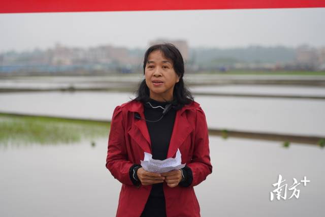 省农科院科技条件部主任陈琴苓