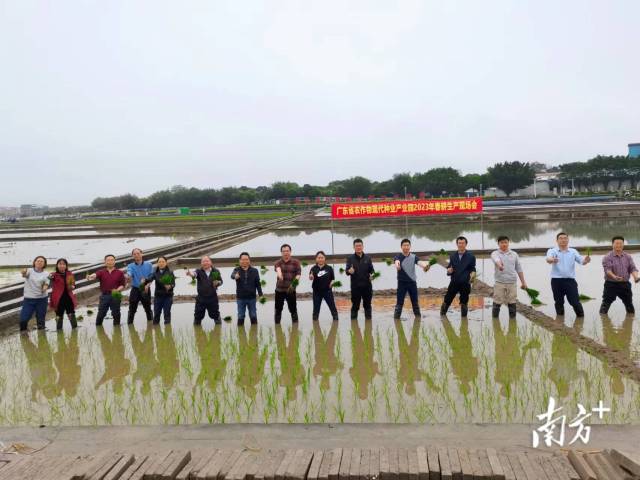 参会嘉宾参加水稻插秧活动