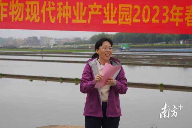 省农科院水稻所所长何秀英