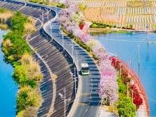 视觉|一场春雨，打翻了蕉岭的调色盘