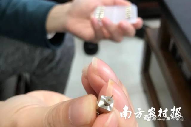 ▲ 鳜ISKNV病灭活疫苗注射针头