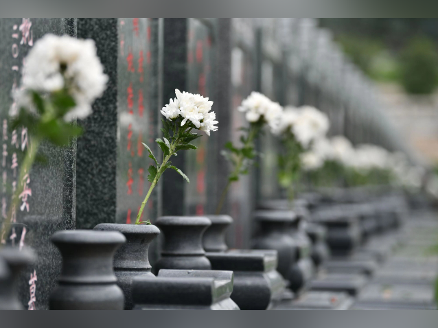 清明将至，这份佛山祭扫指南请收好