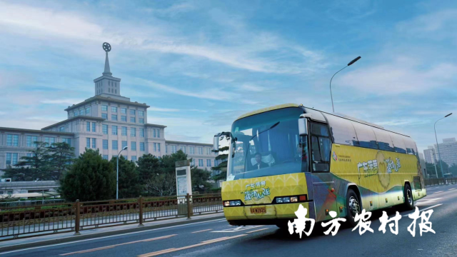 南方农村报 陈志深 制图